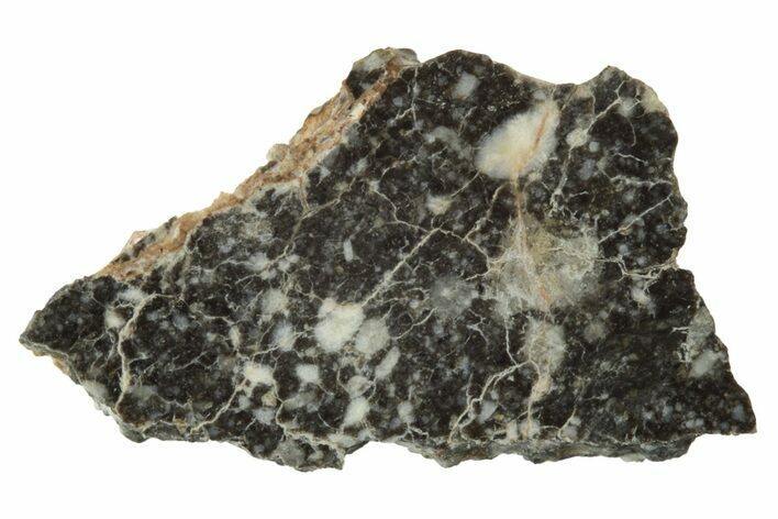 Polished Lunar Meteorite Slice ( g) - NWA #249940